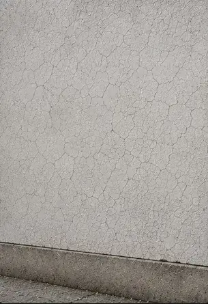 Fine map / craze crack network on a plastered wall